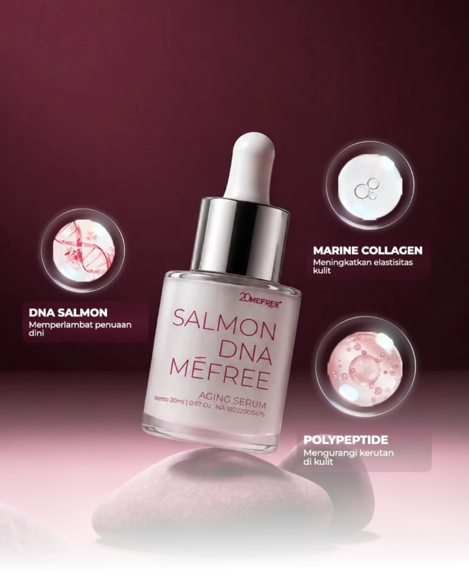 Salmon DNA Mefree Serum